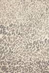 Loloi Masai Rug, 3'6" length x 5'6" width thumbnail 1