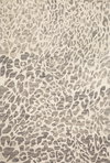 Loloi Masai Rug, 3'6" length x 5'6" width thumbnail 1