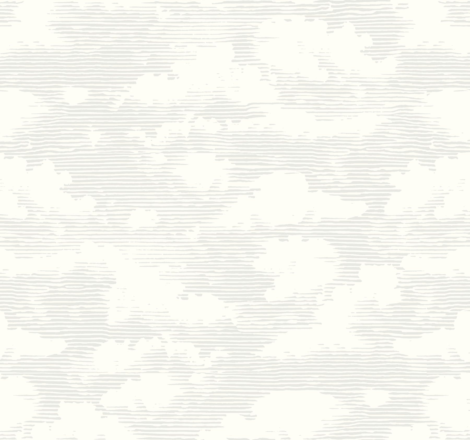 Cloud Cover Grey Wallpaper large image 