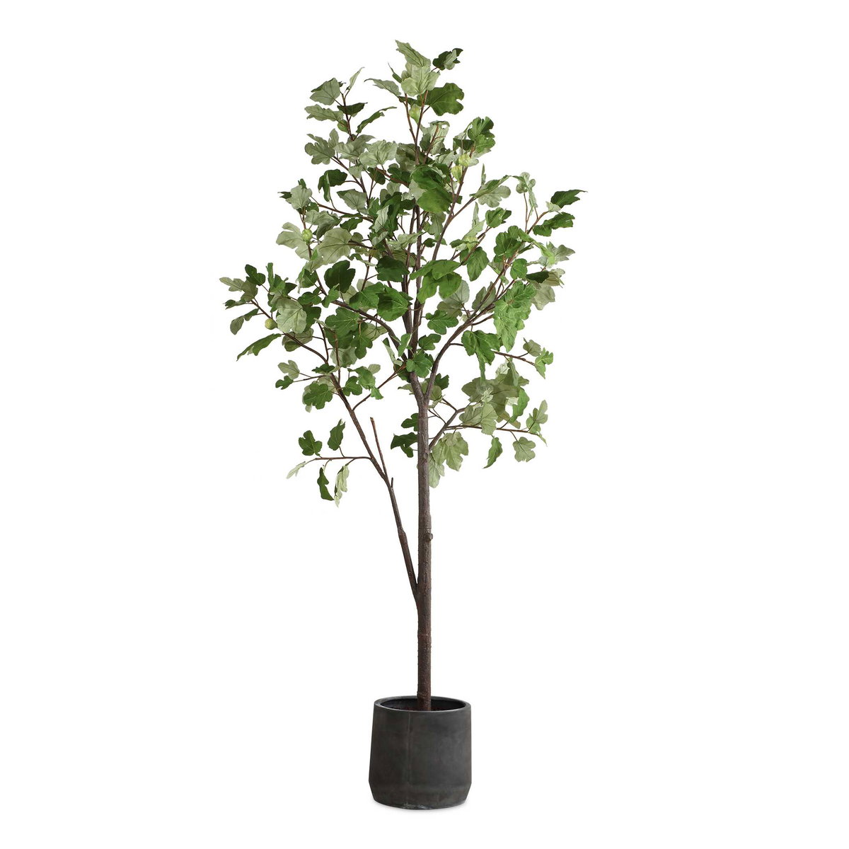 Eden Potted Fig Tree, Artificial Plants & Flower by Uttermost, 37" width x 108.25" height x 31.5" depth View 1
