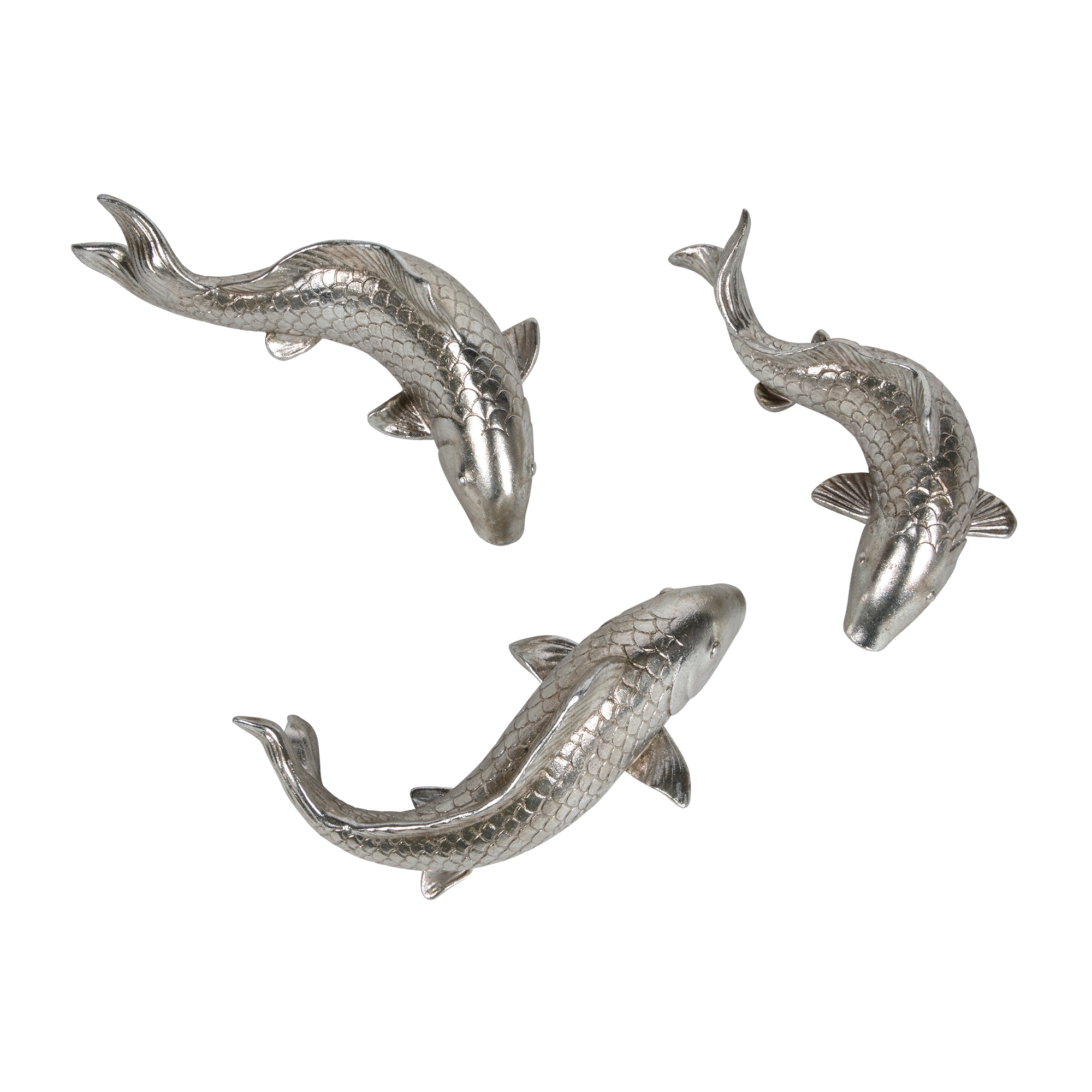 Koi