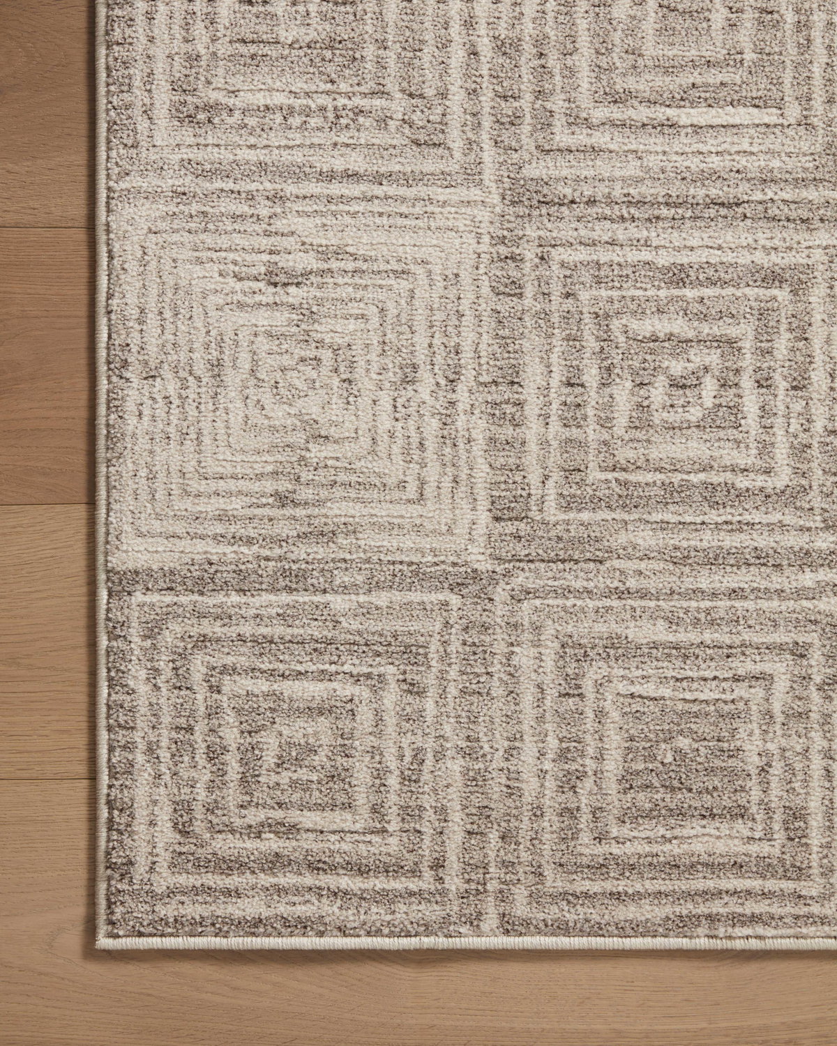 Loloi Darby Rug, 2'7" length x 4' width View 5