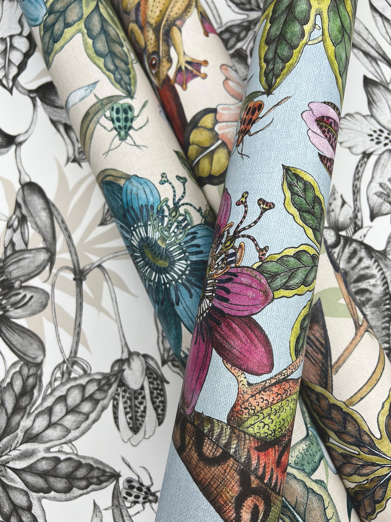 Rainforest White & Charcoal Wallpaper large image 