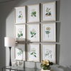 Antique Botanicals Framed Prints Set/9 thumbnail 3