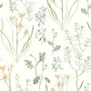 Alpine Botanical Peach Peel & Stick Wallpaper, by York Wall, 20' length x 1'8.5" width x 0.02" depth thumbnail