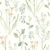 Alpine Botanical Peach Peel & Stick Wallpaper thumbnail 0