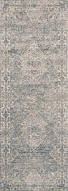 Loloi Teagan Rug, 2'8" length x 4' width thumbnail 5