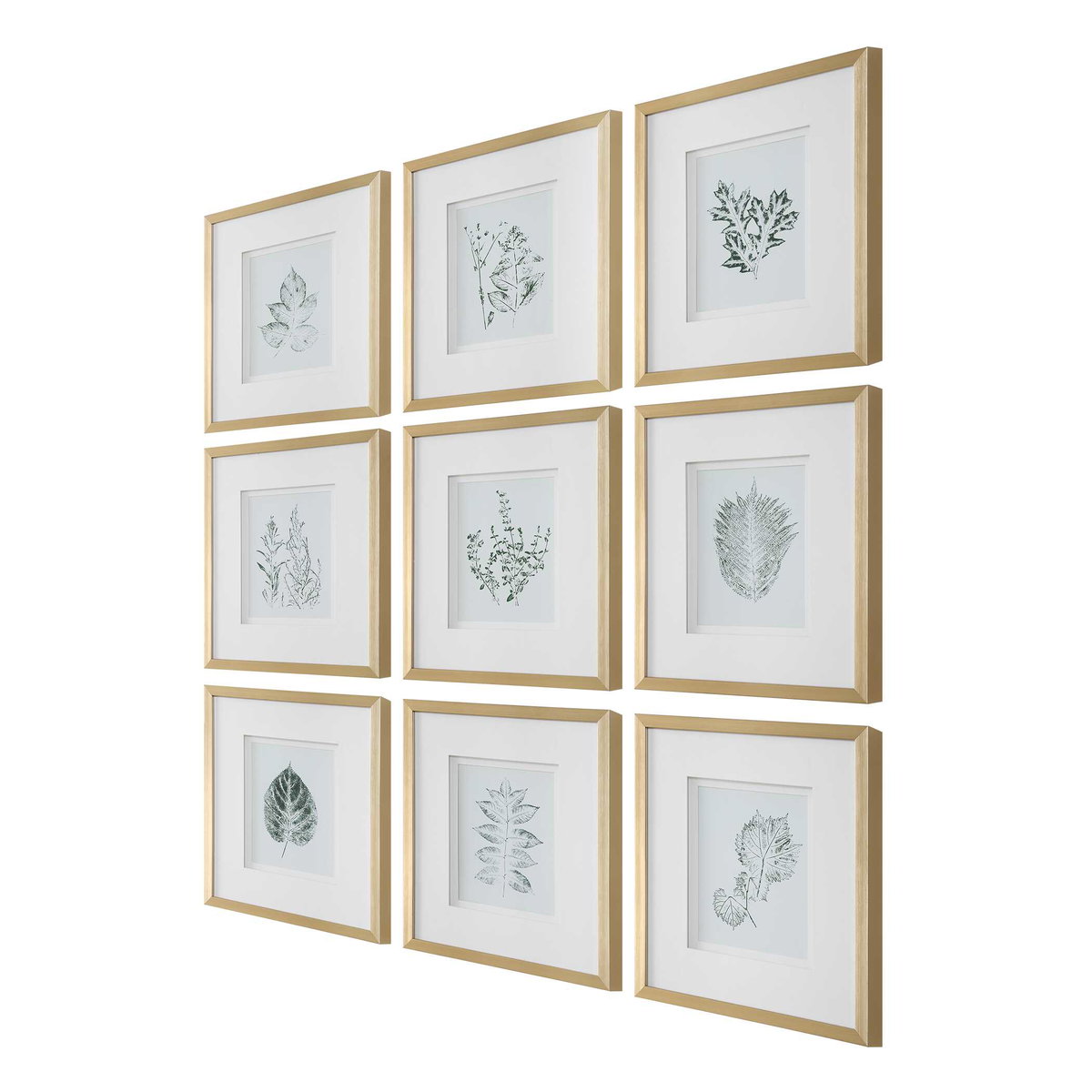 Nature's Script Framed Botanical Prints Set/9, Painting by Uttermost, 15.25" width x 17.25" height x 1.75" depth View 5