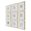 Nature's Script Framed Botanical Prints Set/9 thumbnail 4