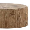 Arik Coffee Table Light Natural, by Dovetail, 32" width x 14.17" height x 41.73" depth thumbnail 5