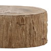 Arik Coffee Table Light Natural, by Dovetail, 32" width x 14.17" height x 41.73" depth thumbnail 5