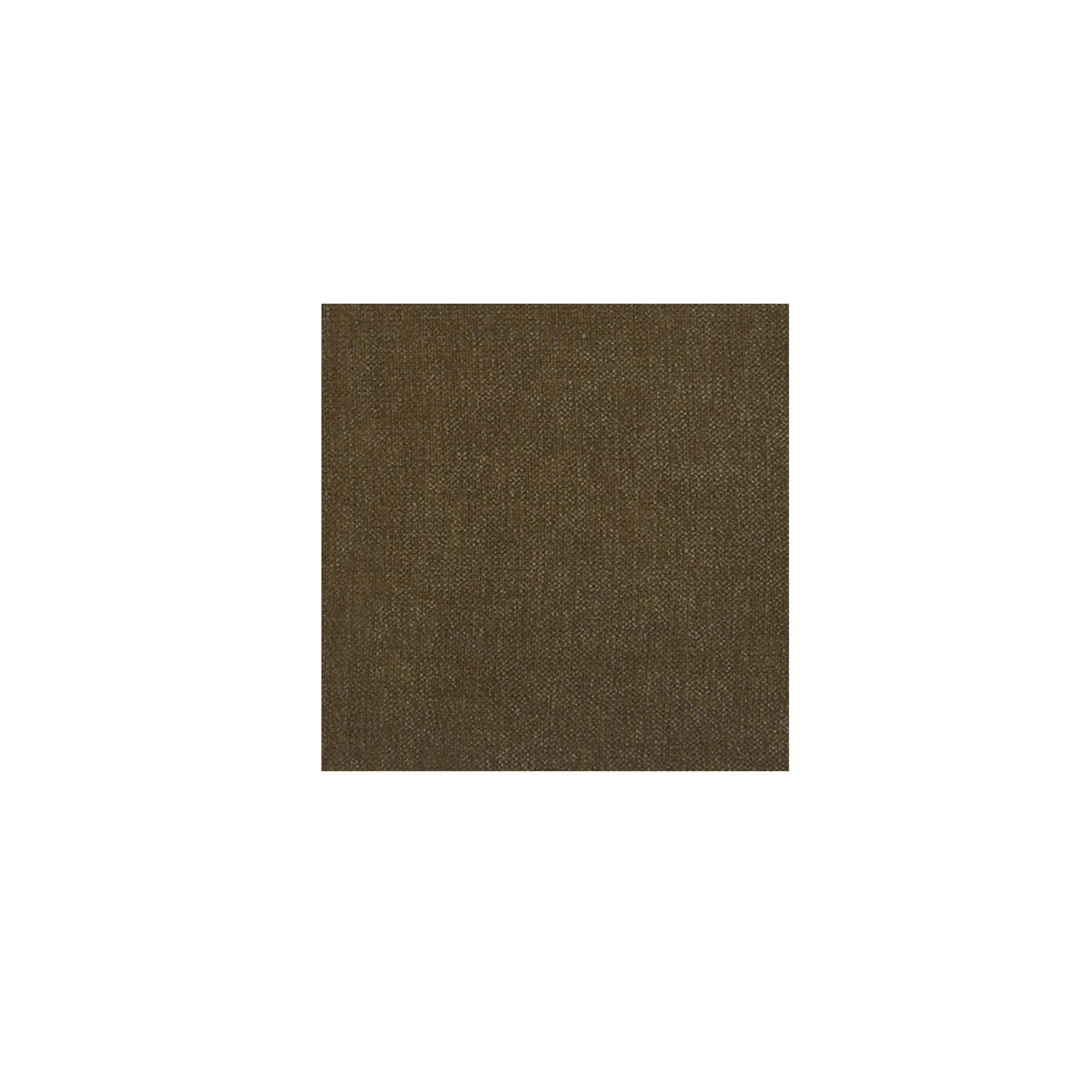 Elise Counter Stool Cedar Green, Counter & Bar Stool by Moe's Home, 22" width x 39.4" height x 22.4" depth View 6