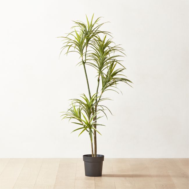 Online Designer Combined Living/Dining Faux Dracaena Warneckii Tree 5'