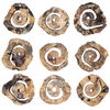 Corkscrew Wood Wall Decor Set/9 thumbnail 8