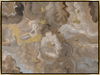 33.5 x 25.5 Marble Stone I thumbnail 0