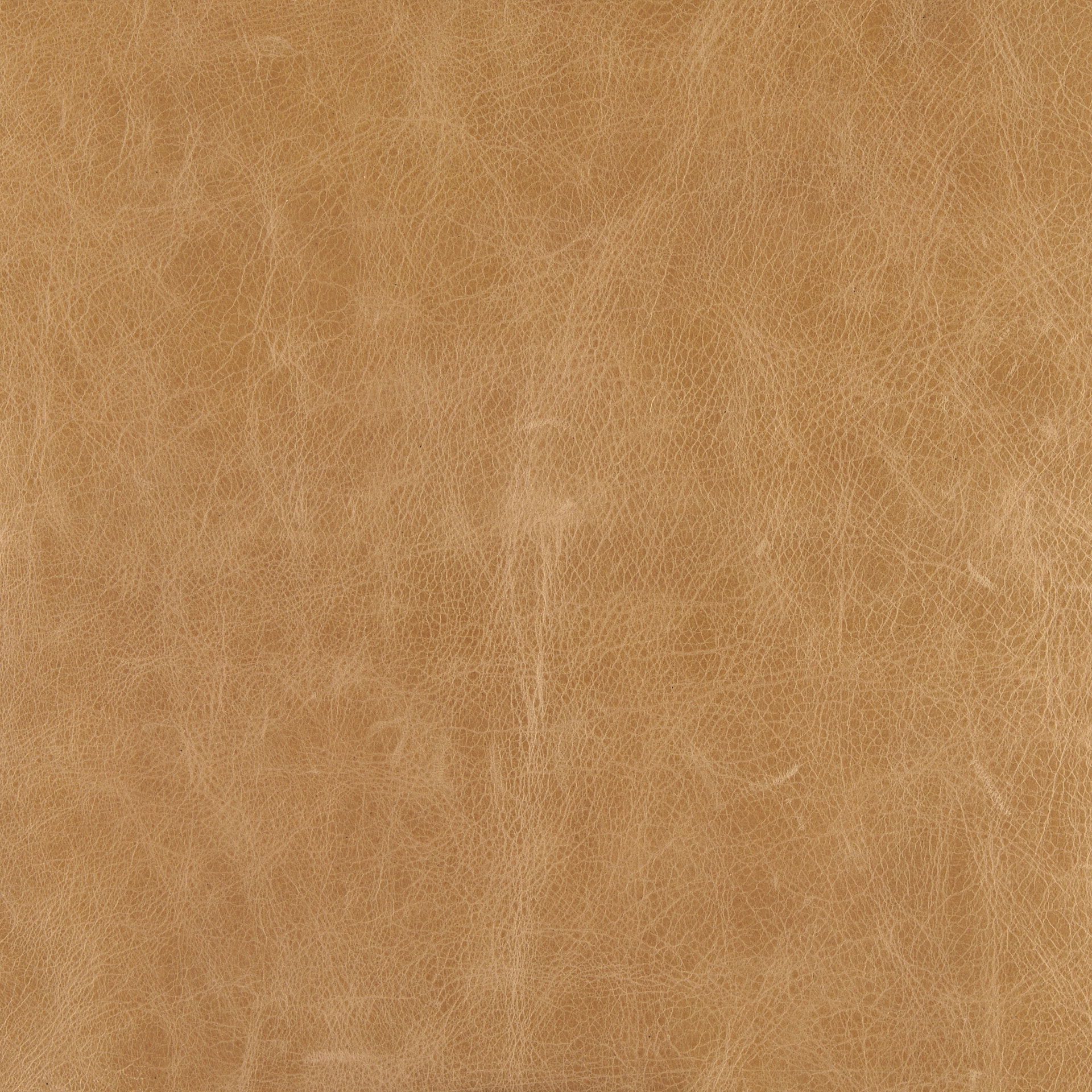 Stratton Gunmetal with Genuine Brown Leather Upholstered Accent Chair, by Mercana, 27.25" length x 36.5" width x 29.5" height View 4