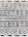 Elaziz Machine Woven Rug thumbnail 0