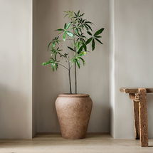 Online Designer Combined Living/Dining Faux Potted Brachychyton Rupestris Tree & Large Rustic Ficonstone Planter