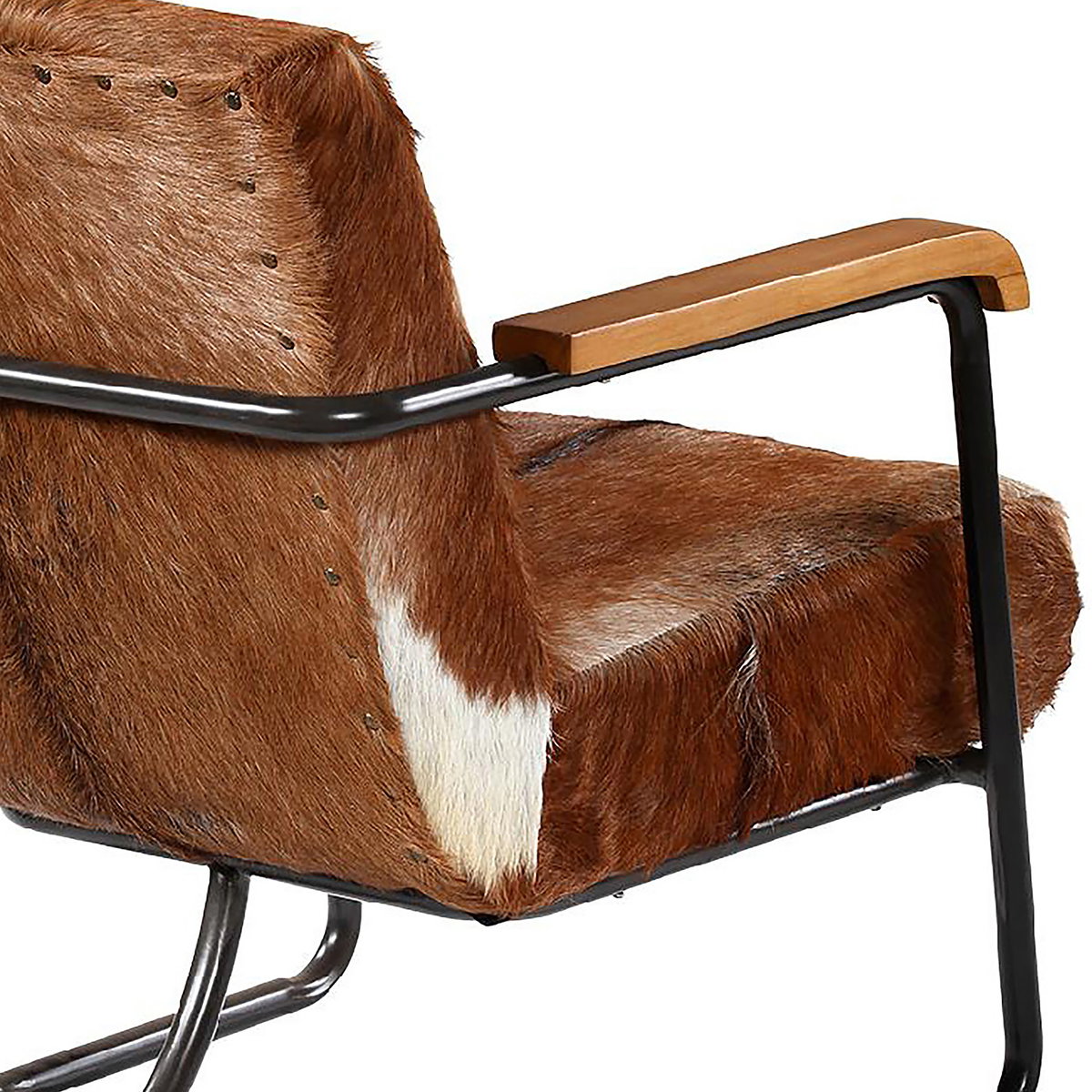 Vistan Occasional Chair, Accent Chair by Dovetail, 24" width x 31" height x 28" depth View 3