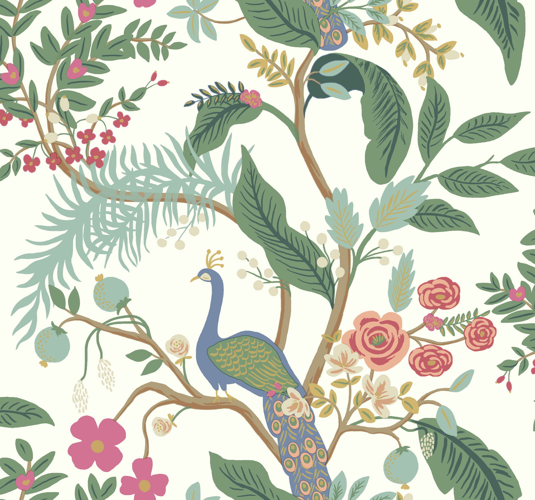 Peacock Periwinkle Wallpaper large image 