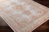 Aisha Machine Woven Rug thumbnail 0