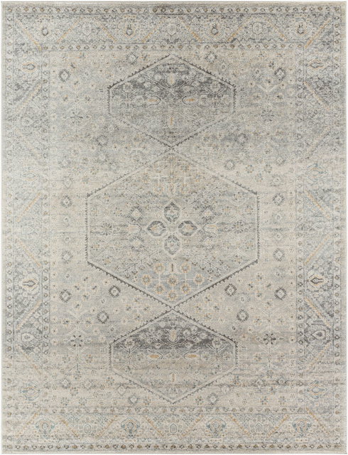 Alpharetta Machine Woven Rug