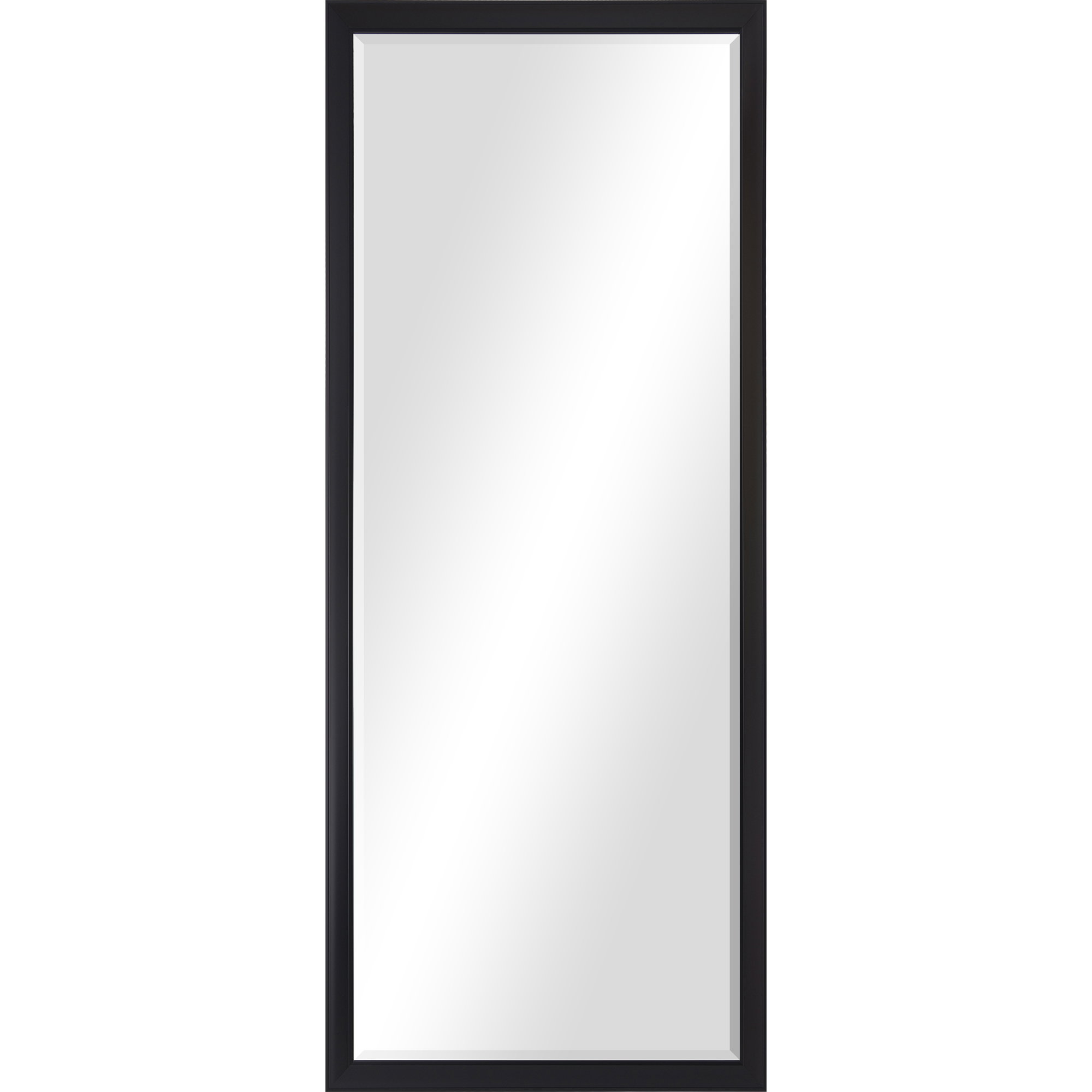 Delacorte Wall Mirror, by Renwil, 80" height x 2.08" depth View 1