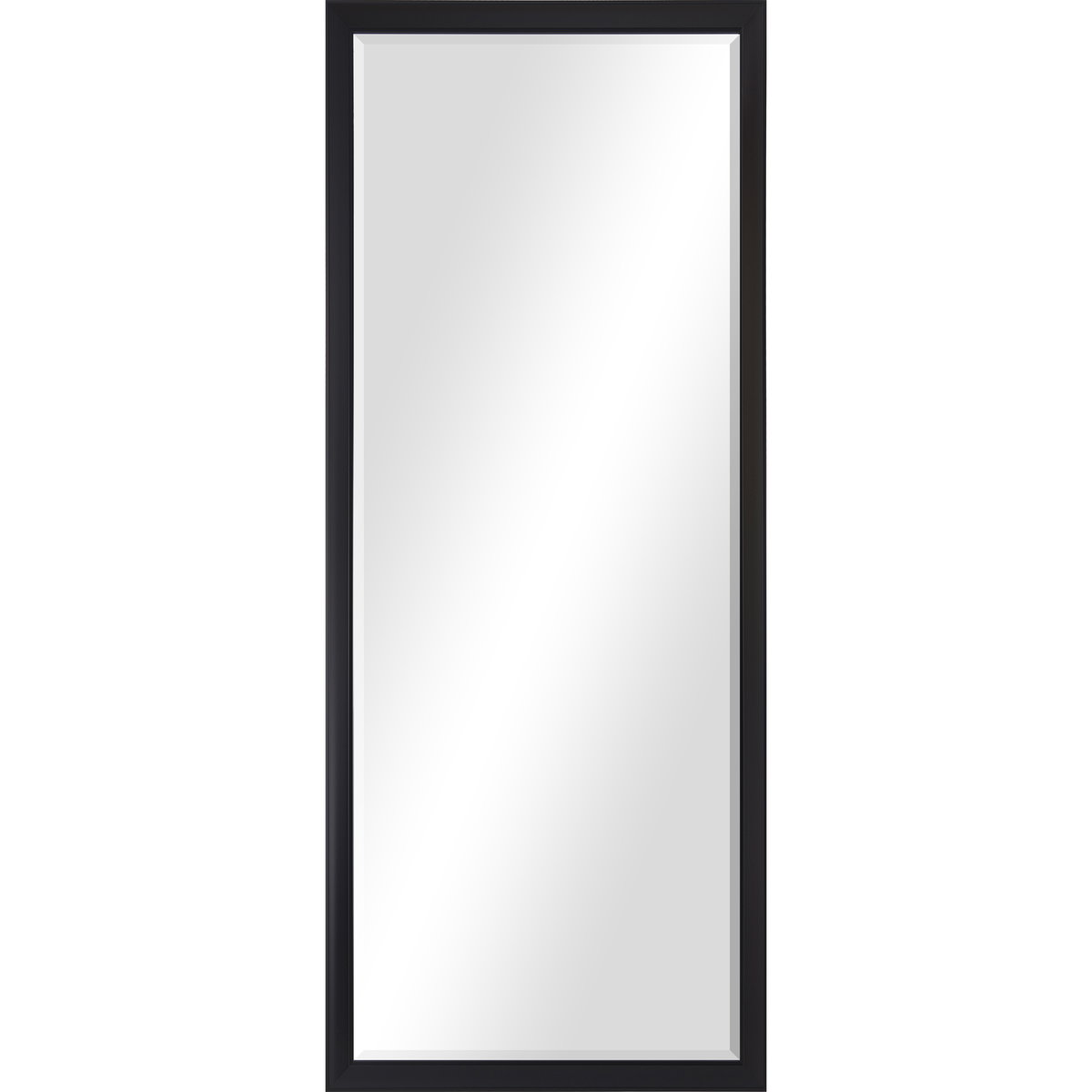 Delacorte Wall Mirror, by Renwil, 80" height x 2.08" depth View 1