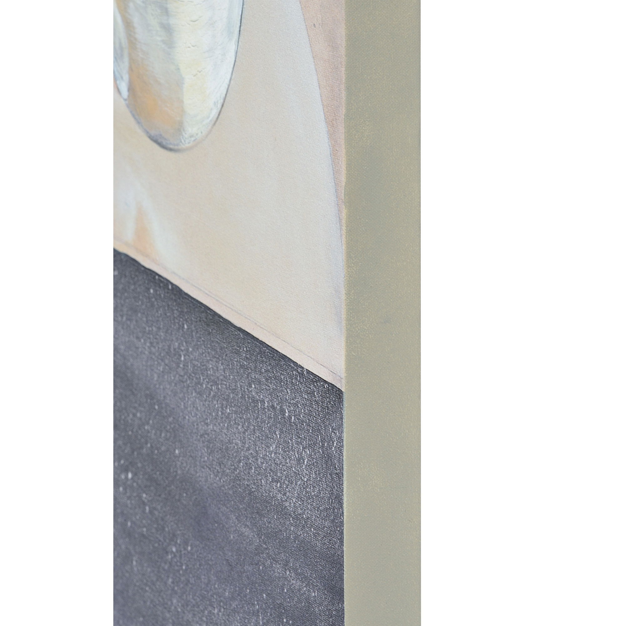 Endeavour Canvas Art large image 