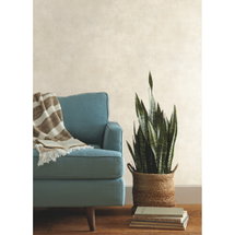 Online Designer Bedroom Plaster Finish Wallpaper