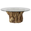 Driftwood Glass Top Large Coffee Table, by Uttermost, 43" width x 17" height x 43" depth thumbnail 1
