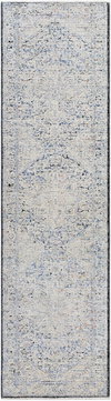 Rivaldo Machine Woven Rug, by Surya, 10'0.08" length x 2'7.5" width thumbnail