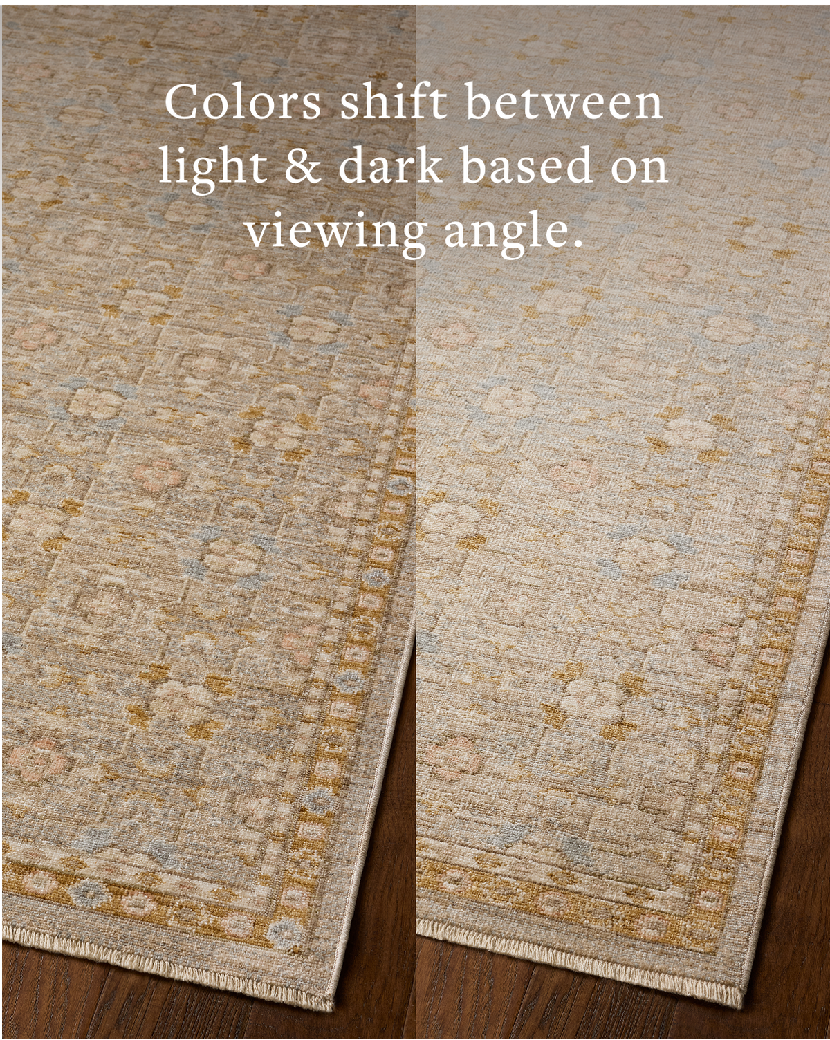 Loloi Elora Rug, 4' length x 5'7" width View 9