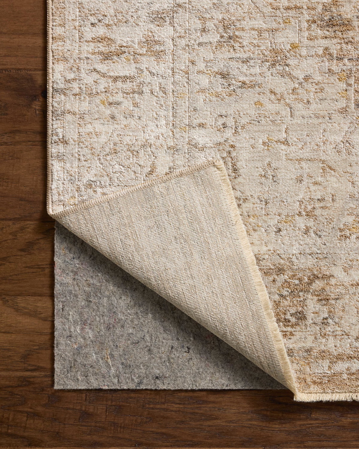 Loloi Clarisse Rug, 1'6" length x 1'6" width View 5
