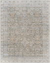 Darling Machine Woven Rug, by Surya, 9'0.27" length x 6'6.74" width thumbnail