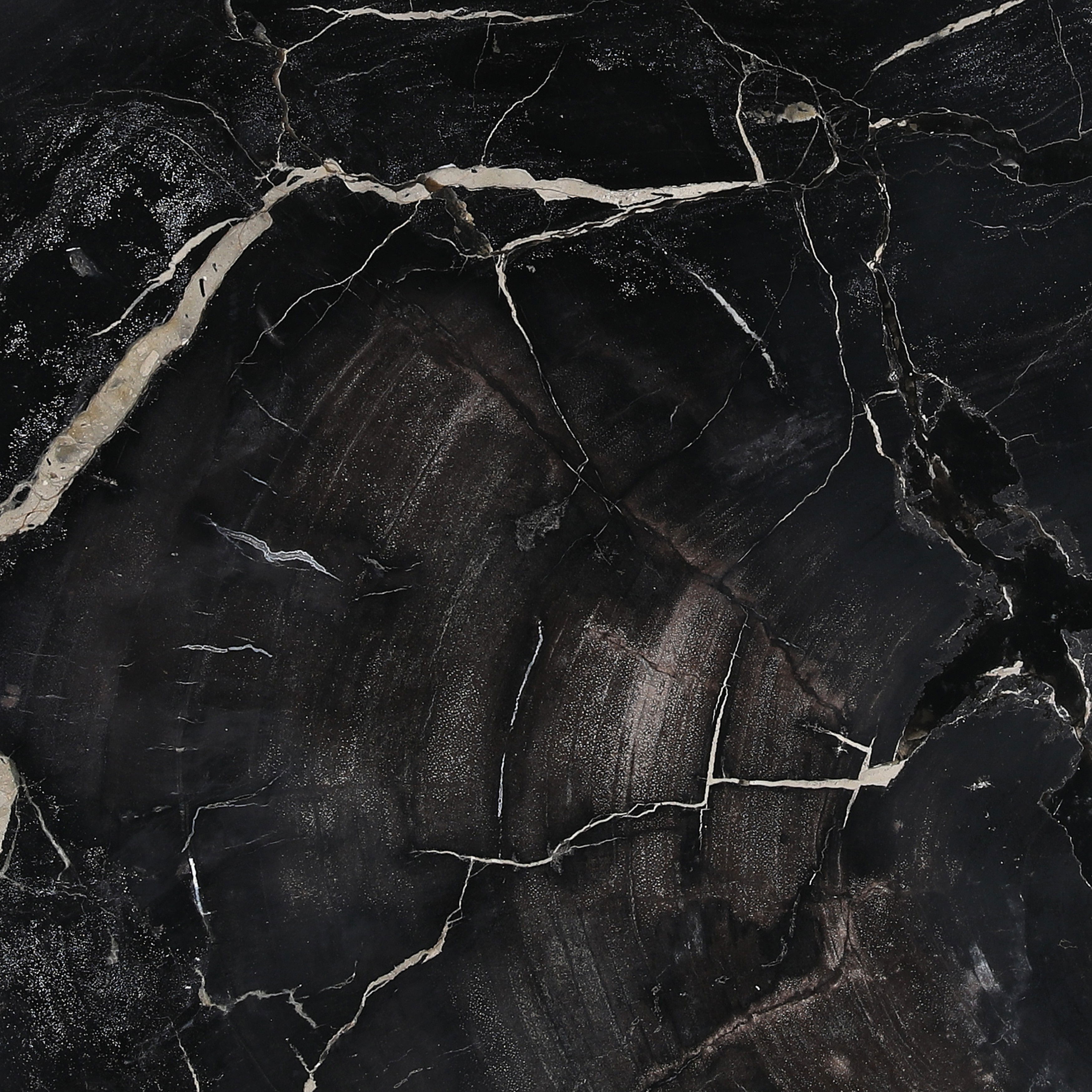 Darnell Coffee Table Natural Black Large, by Dovetail, 30" width x 16" height x 31.5" depth View 3