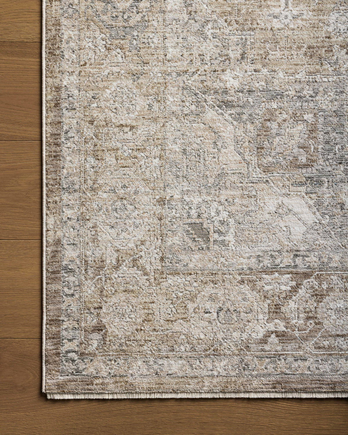 Loloi Tabitha Rug, 1'6" length x 1'6" width View 5