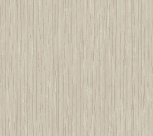 Temperate Veil Mushroom Wallpaper