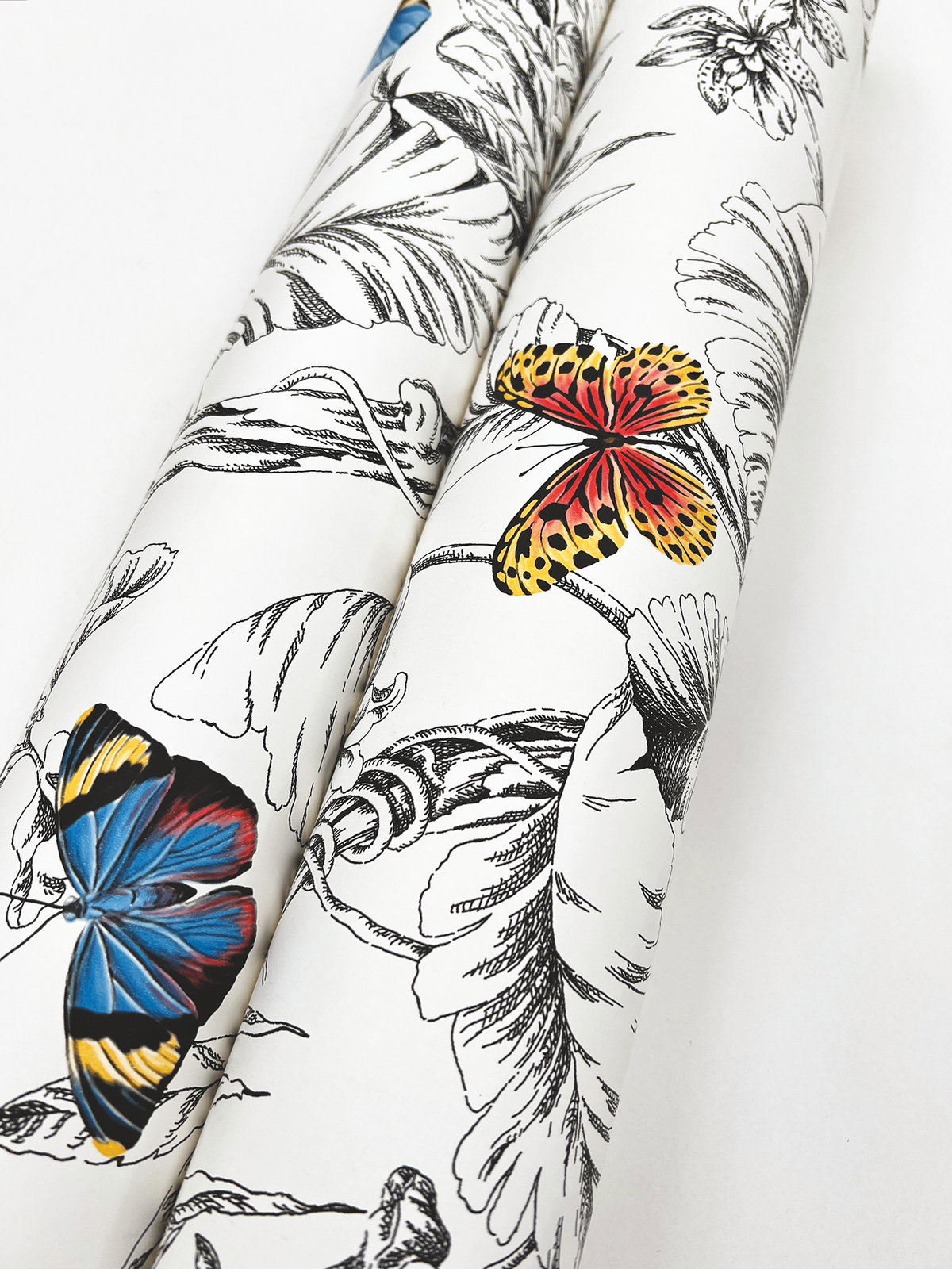 Papillon Primary Wallpaper, by York Wall, 27' length x 2'3" width x 0.02" depth View 3