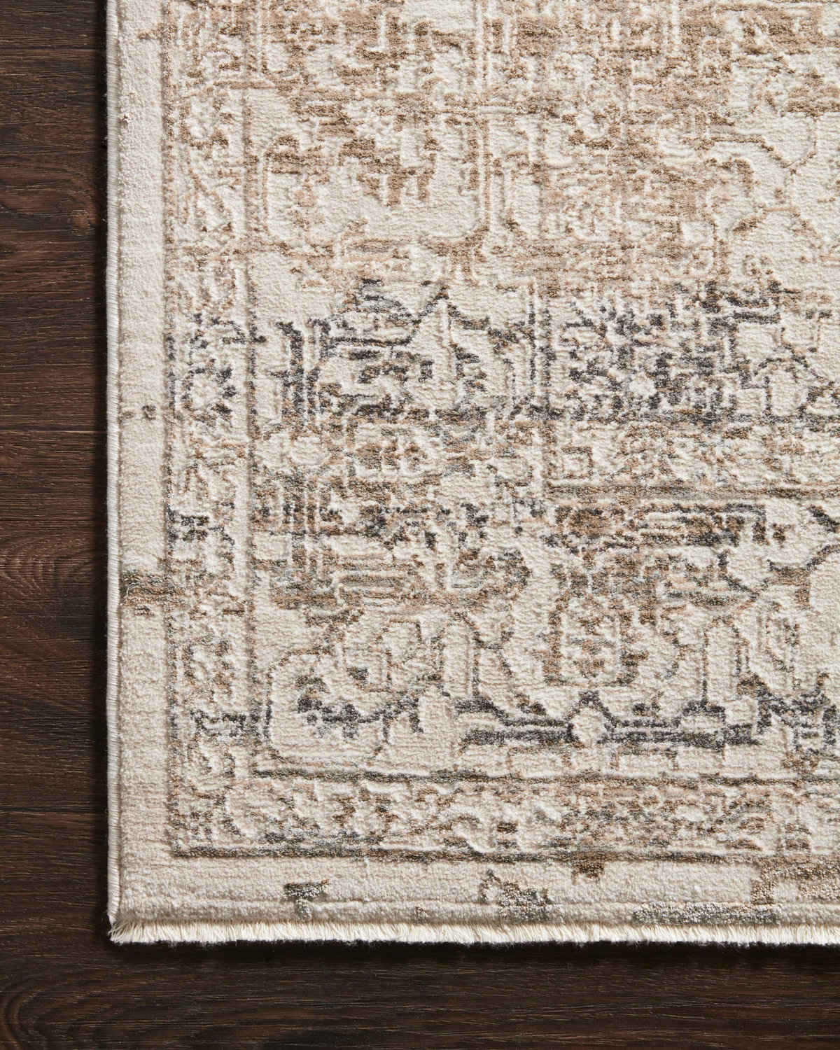 Loloi Homage Rug, 2' length x 3'4" width View 3