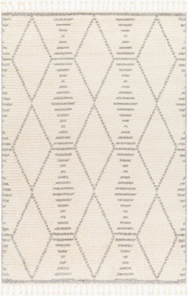 Valencia Machine Woven Rug large image 