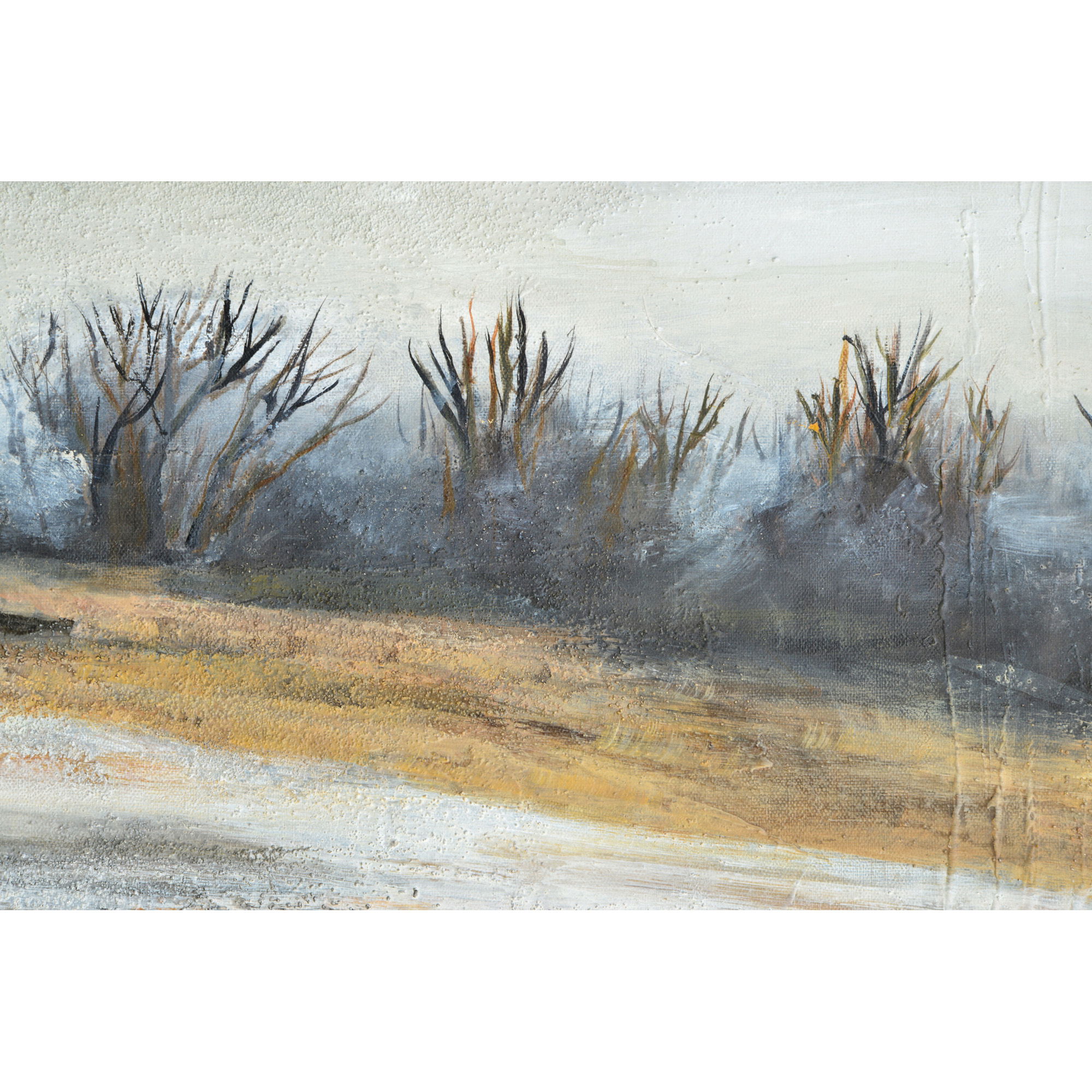 Denali Canvas Art large image 
