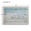 Tranquil Shorebirds On The Sand Framed Print thumbnail 2