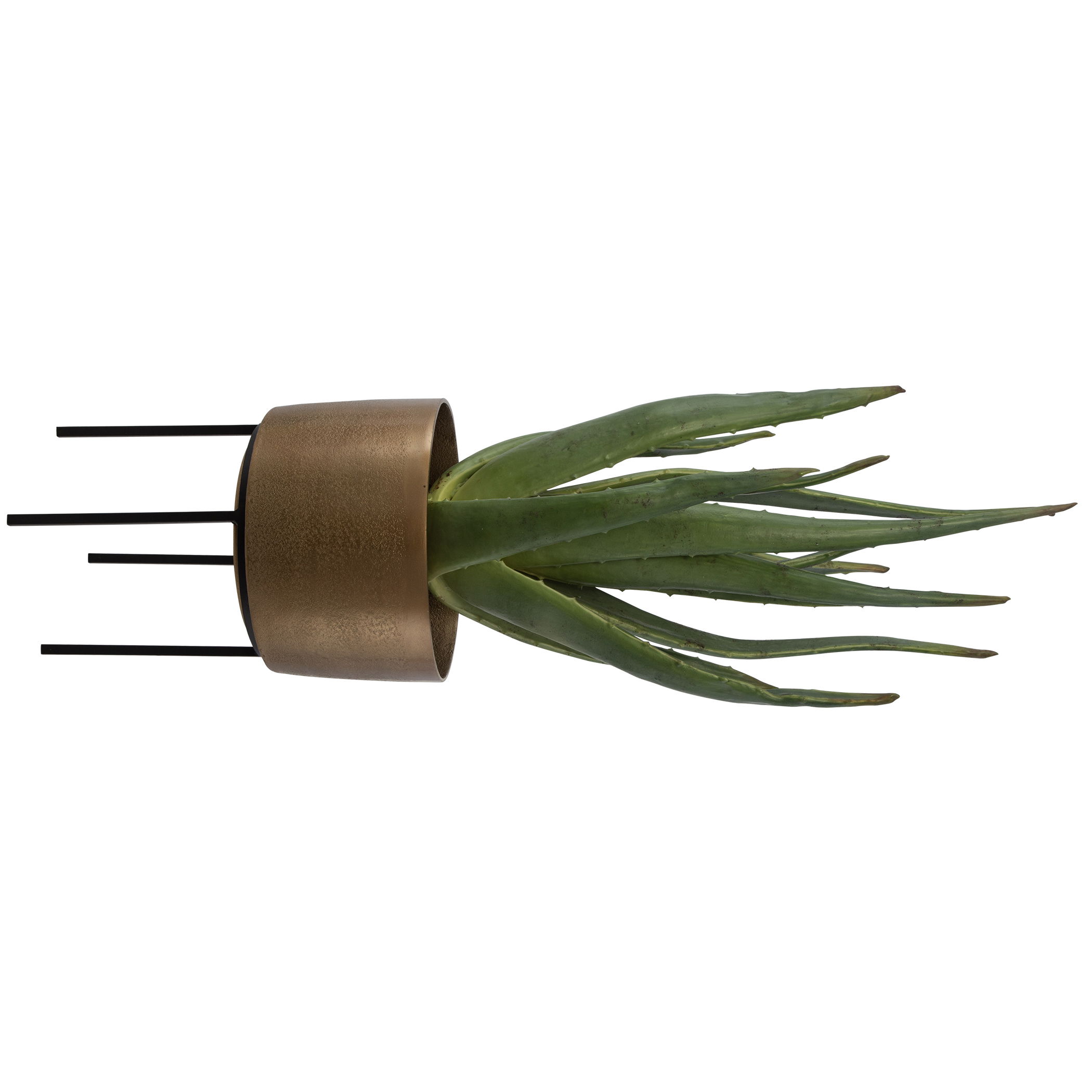 Arabia Aloe Planter large image 