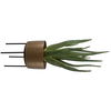 Arabia Aloe Planter thumbnail 2