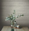 Fountain Grass Onyx Wallpaper thumbnail 1