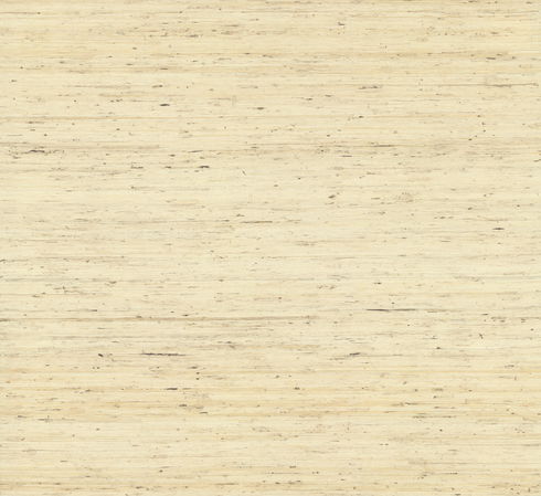 Arrowroot Off White Wallpaper