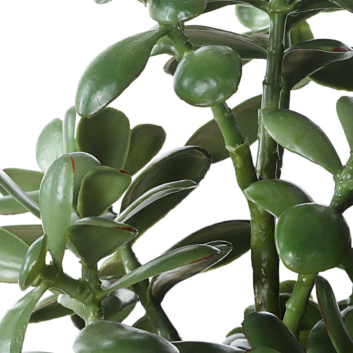 Crassula Jade Accent Plant, Artificial Plants & Flower by Uttermost, 18" width x 23.5" height x 13.75" depth View 6