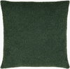 Olinda Accent Pillow, Decorative Pillow by Surya, 20" length x 20" width thumbnail