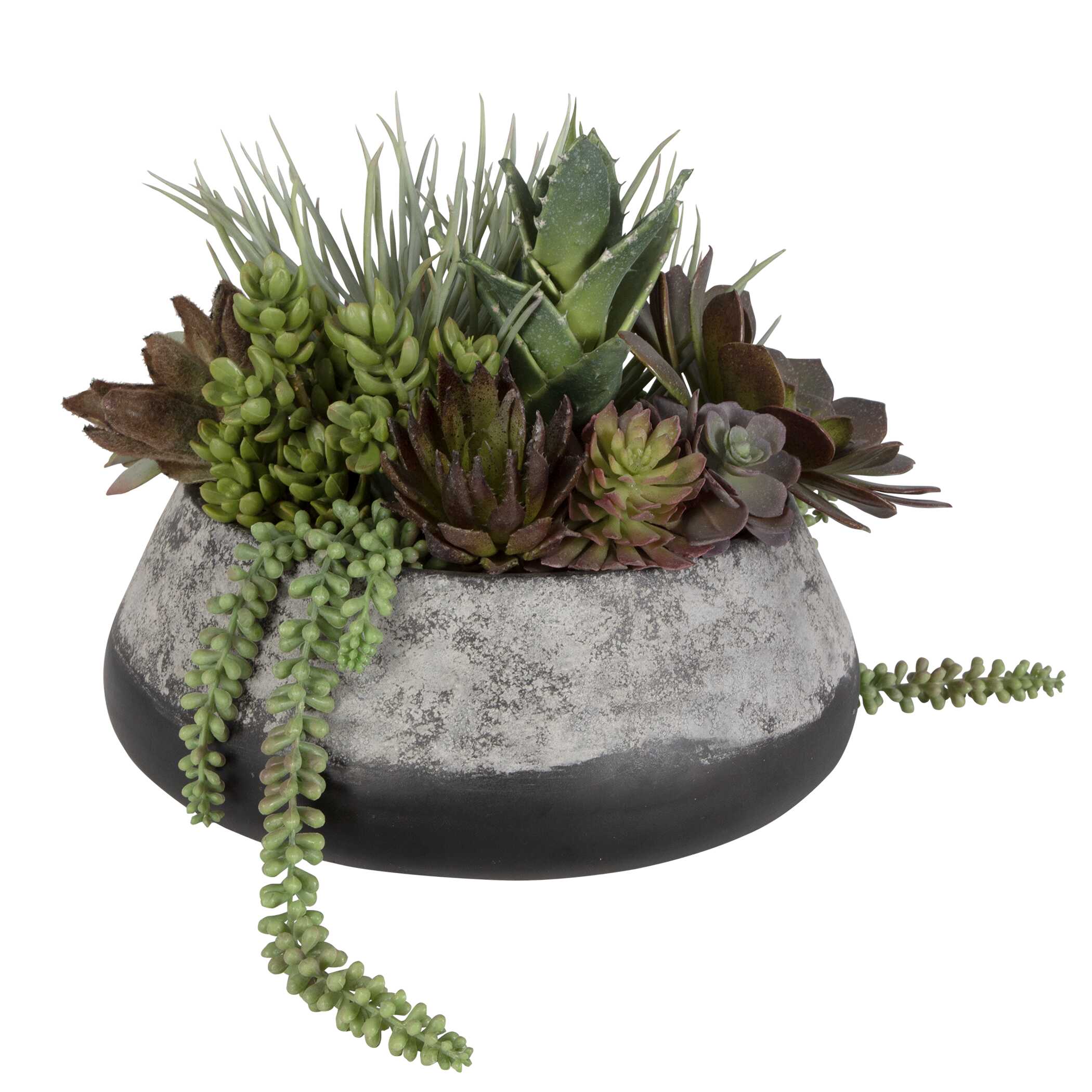 Yuma Succulent Centerpiece, Decorative by Uttermost, 15" width x 13" height x 14" depth View 3